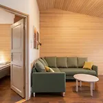 Alpehytte Ski-inn Mastonaitio *