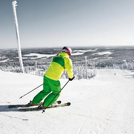Alpstuga Ski-inn Mastonaitio *