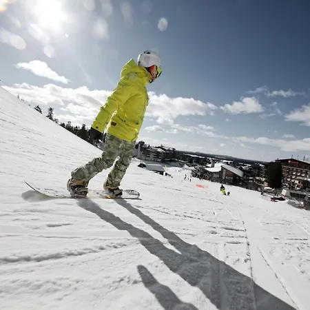 Ski-inn Mastonaitio Rukatunturi