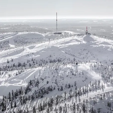 Ski-inn Mastonaitio Alpehytte *