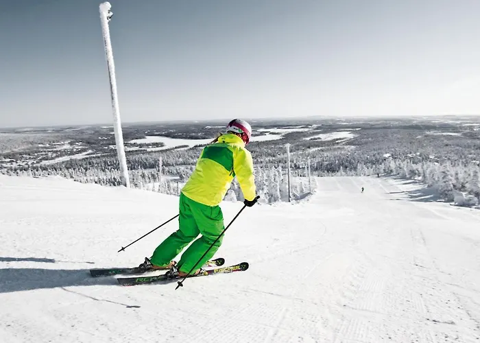 Шале Ski-inn Mastonaitio *