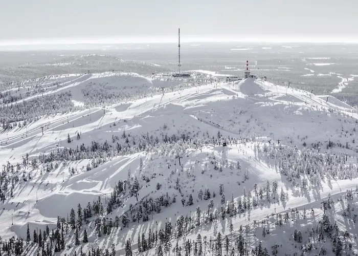 Ski-inn Mastonaitio Шале *